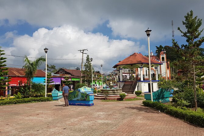 3 Levels of Huatulco the coffee you've been looking for - From coffee plant to cup at Cafe Plurmet