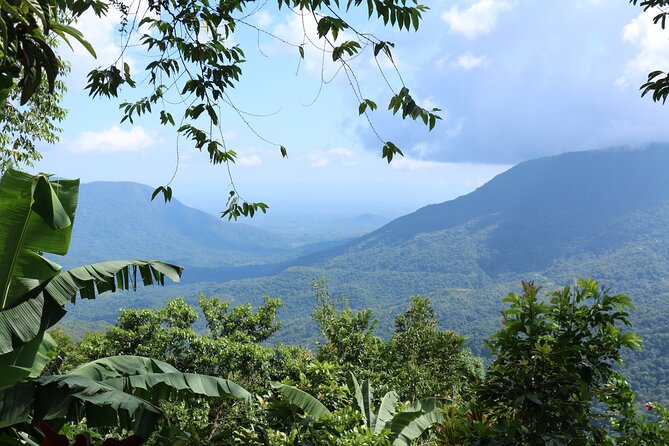 3 Levels of Huatulco the coffee you've been looking for - Who should take this coffee tour?