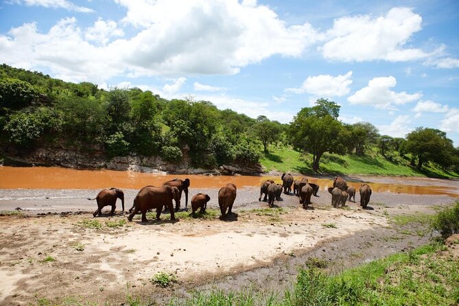 6 Days Serengeti Safari(hiking waterfalls &coffee tour) - Key points before you book