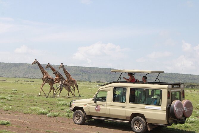6 Days Serengeti Safari(hiking waterfalls &coffee tour) - Day 2: The long road toward the Serengeti