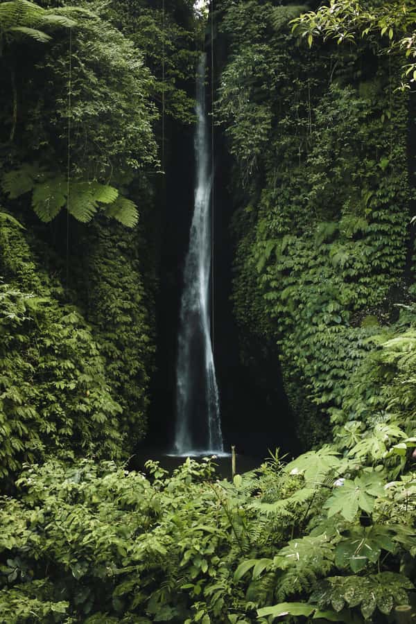 7 Hiden waterfalls and Luwak Coffee Visit - Why Sekumpul feels different from an easy waterfall stop