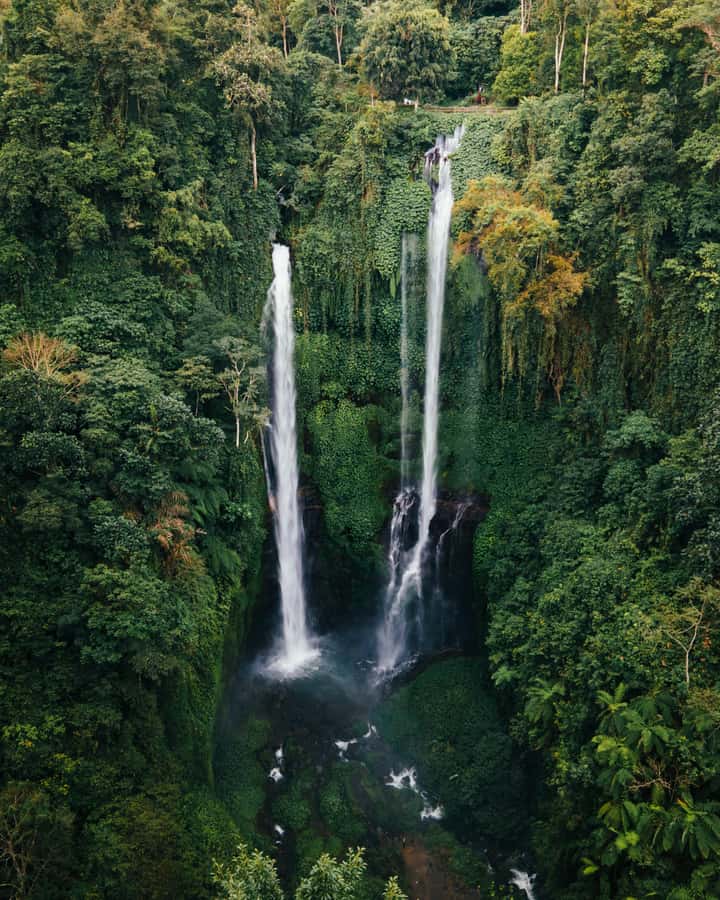 7 Hiden waterfalls and Luwak Coffee Visit - What the private format adds