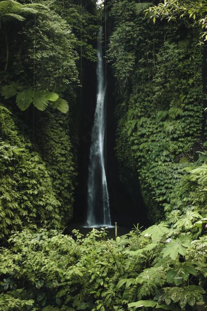7 Hiden waterfalls and Luwak Coffee Visit - Who should choose this experience?