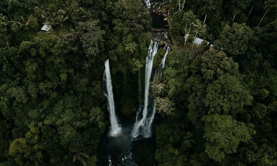7 Hiden waterfalls and Luwak Coffee Visit - Practical advice for a smoother day