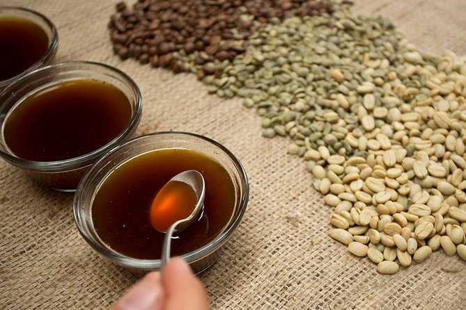 A taste of Aquiares - 2 hours Coffee Tour - Key points to know before booking