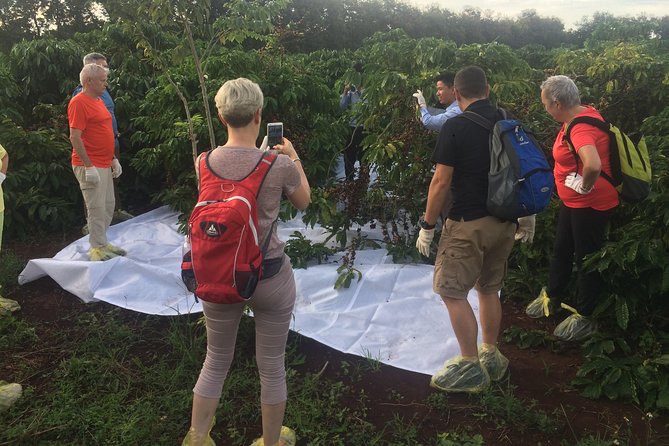 Amazing Coffee full-day tour in Buon Ma Thuot - Daklak - Seeing how farmers’ coffee reaches the factory