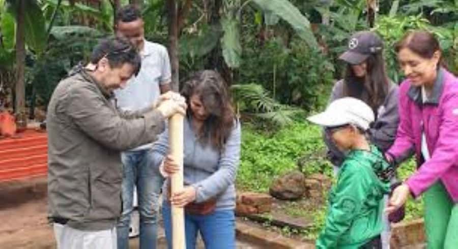 Arusha: Coffee Plantation Tour with Tasting and Hands-On … - Why this Arusha coffee tour feels different
