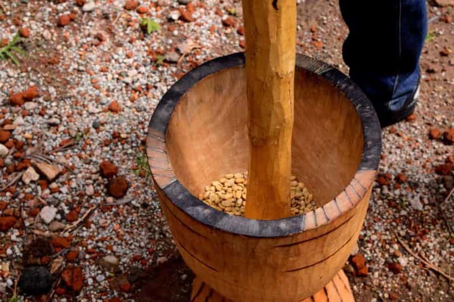 Arusha: Coffee Plantation Tour with Tasting and Hands-On … - Meeting at the Clock Tower in central Arusha