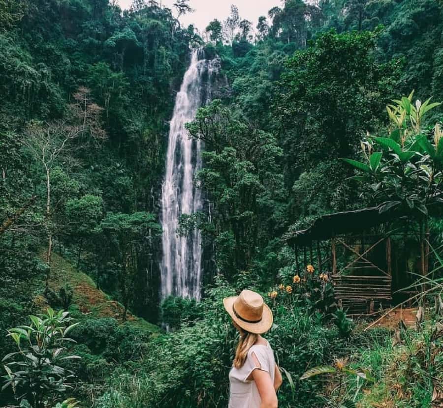 Arusha: Materuni Waterfalls, Coffee, and Hotsprings Tour - Key points at a glance