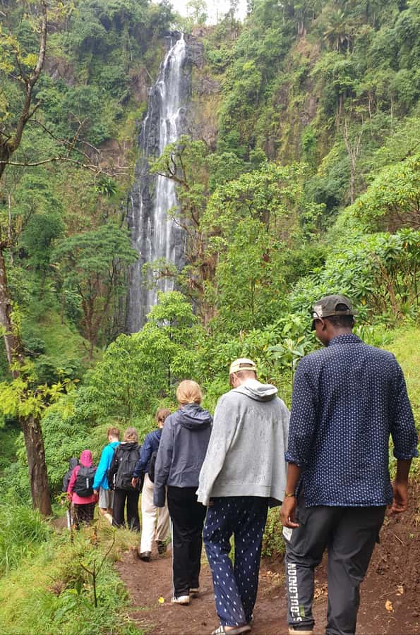 Arusha: Materuni Waterfalls, Hot Springs and/or Coffee Tour - Leaving Arusha or Moshi for Materuni Village