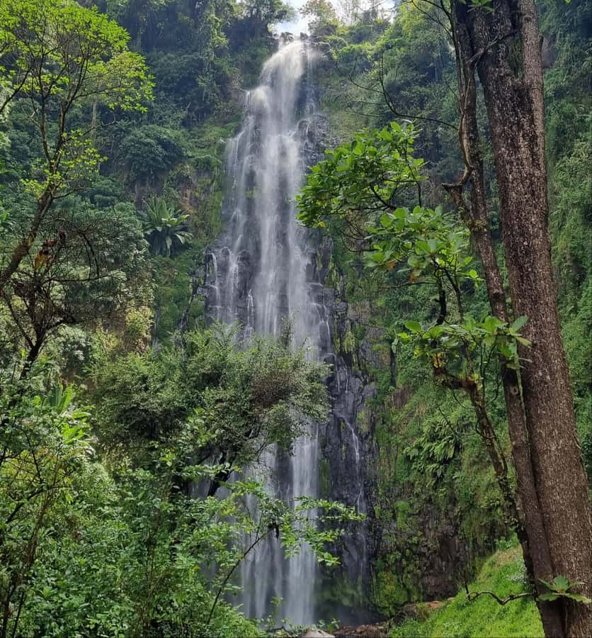 Arusha: Materuni Waterfalls, Hot Springs and/or Coffee Tour - Coffee preparation, done the local way