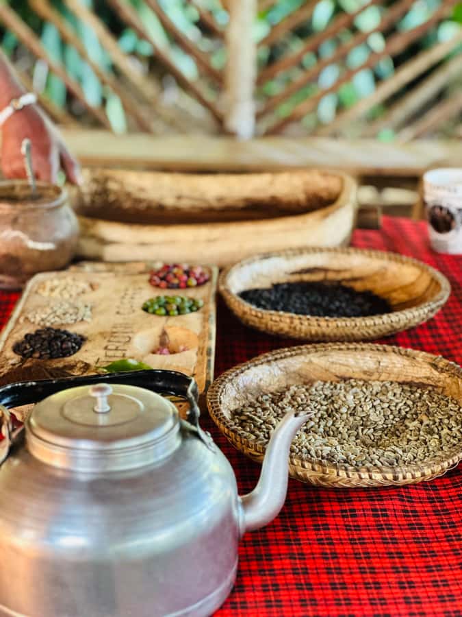 Arusha: Materuni Waterfalls, Hot Springs and/or Coffee Tour - A generous Tanzanian lunch in Materuni