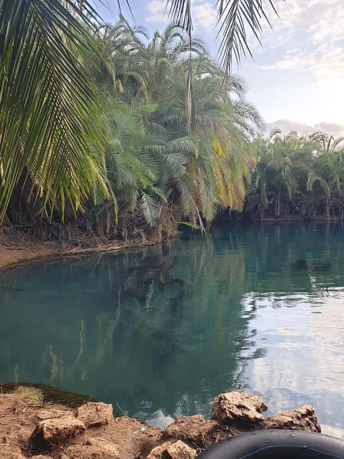 Arusha: Materuni Waterfalls, Hot Springs and/or Coffee Tour - The drive to Chemka, or Kikuletwa, Hot Springs