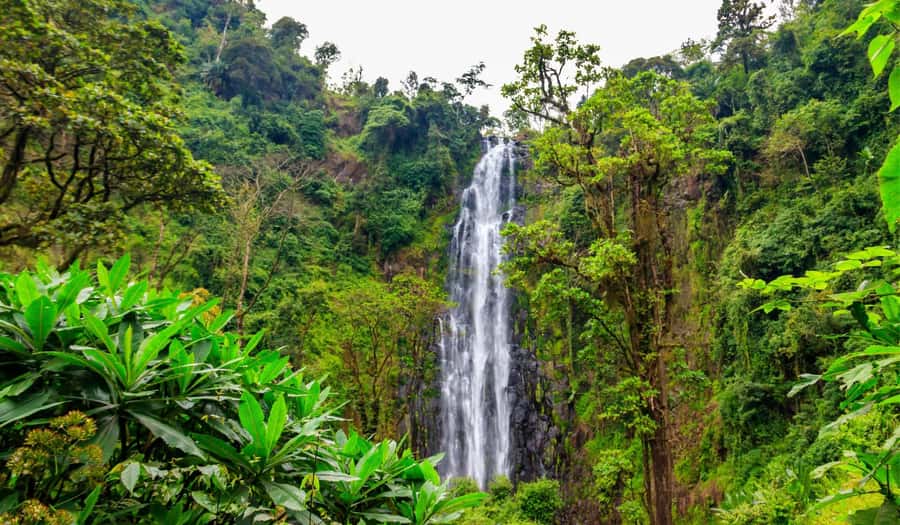 Arusha: Materuni Waterfalls, Hot Springs and/or Coffee Tour - How the full schedule feels