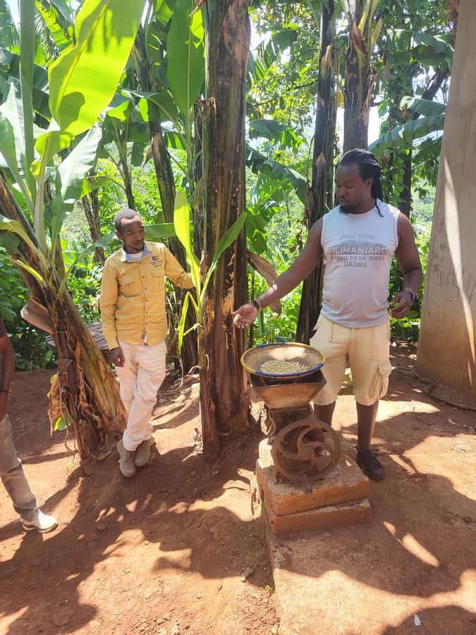 Arusha or Moshi : Hot Spring, Waterfall & Coffee Farm Tour - Who should book this day