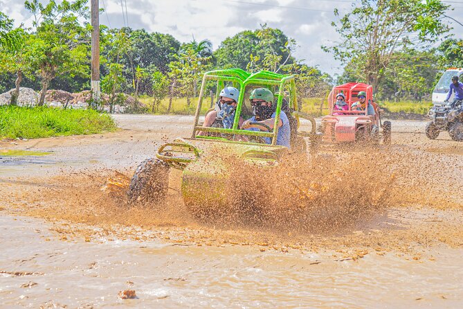 ATV OR BUGGY Ride Into the jungle with cave coffee & chocolate - Coffee, chocolate, and rum at the organic farm