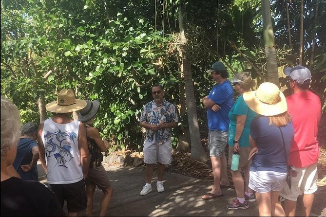Award Winning Farm Tour: Coffee, Chocolate and Unique Gifts - A high Kona viewpoint sets the tone