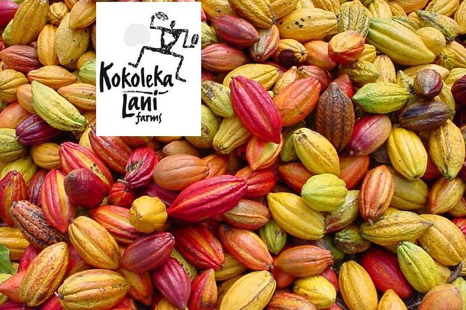 Award Winning Farm Tour: Coffee, Chocolate and Unique Gifts - How the three-hour format feels