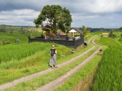 Jatiluwih Rice Terraces, Sangeh Forest & Coffee Tour