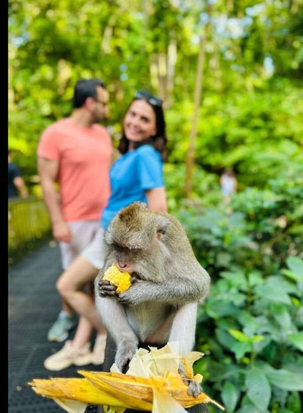 Bali: Ubud Monkey Forest, Coffee Plantation, and Market Tour - Meeting the monkeys in central Ubud