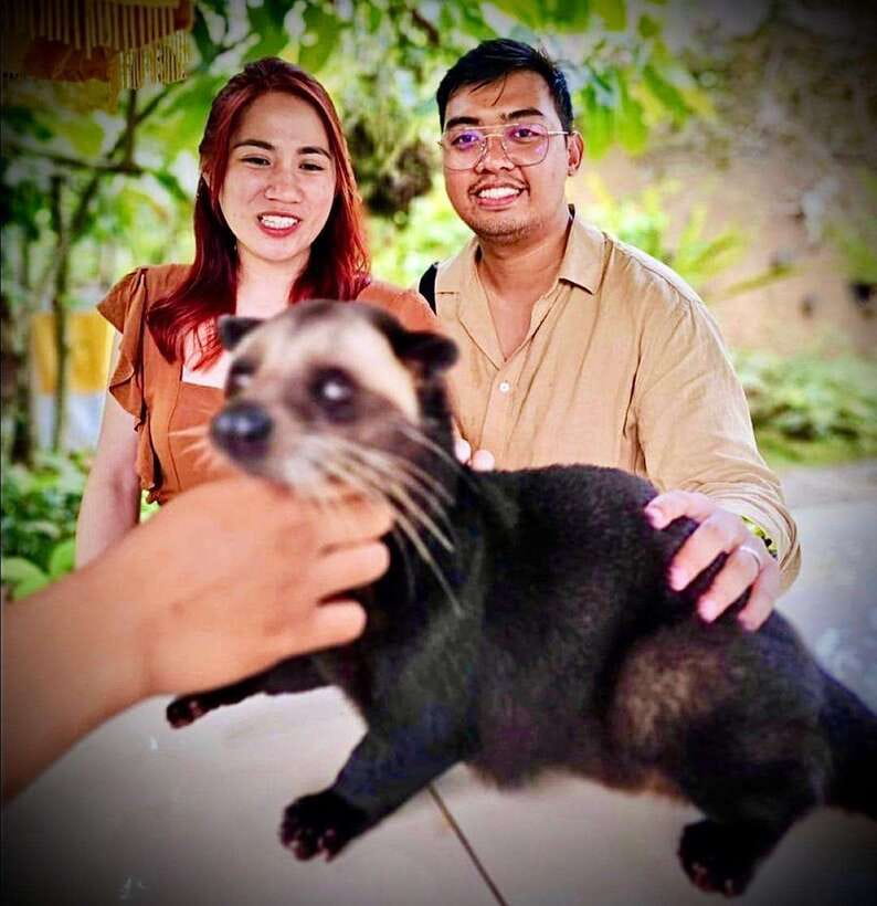 Bali: Ubud Monkey Forest, Coffee Plantation, and Market Tour - Is $42 a fair price?