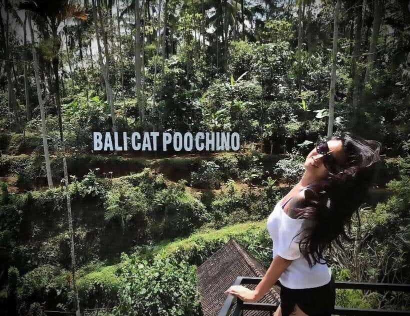 Bali: Ubud Monkey Forest, Coffee Plantation, and Market Tour - Who will enjoy this Ubud day
