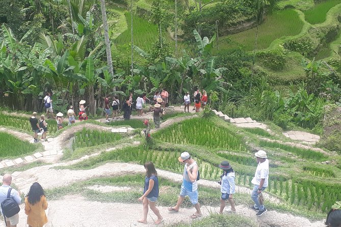 Batur Volcano Sunrise Trekking, Rice Teracce & Bali Coffee Plantation Tour - Sunrise above the volcano and lake