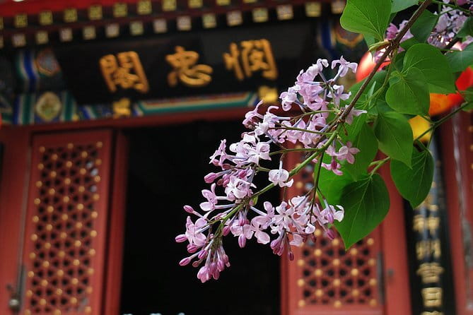 Beijing Hutong Breakfast & Coffee Tour - Quiet time at Zhihua Temple