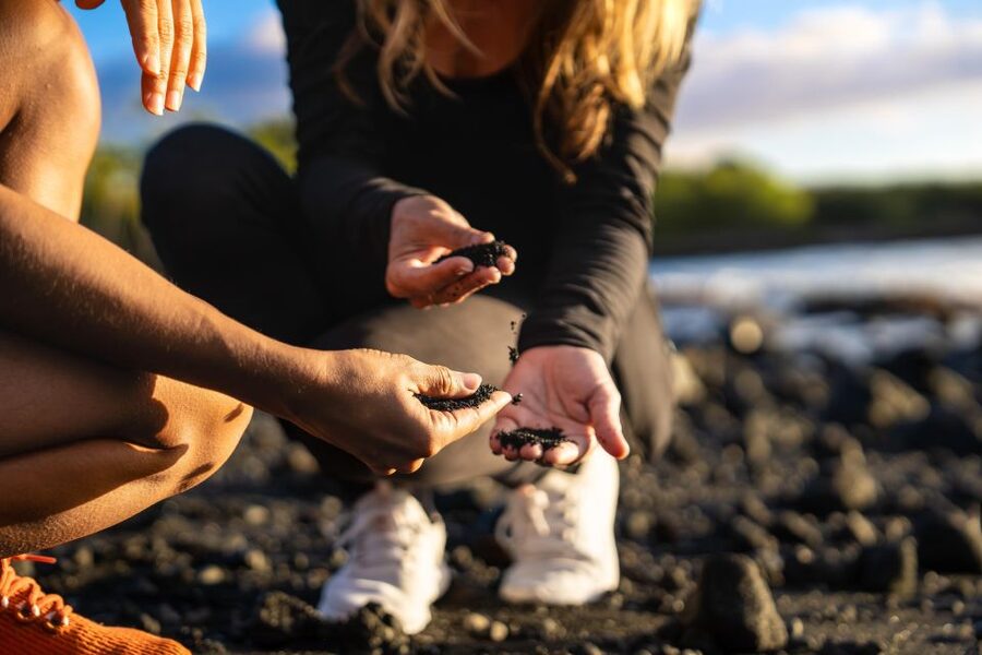 Big Island: Coffee, Black Sand, Volcano and Waterfall Tour - Punaluʻu Bake Shop brings a sweet local pause
