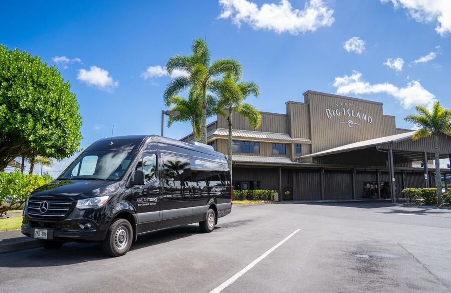 Big Island: Coffee, Black Sand, Volcano and Waterfall Tour - Volcano Winery adds lunch, tasting, and a change of pace