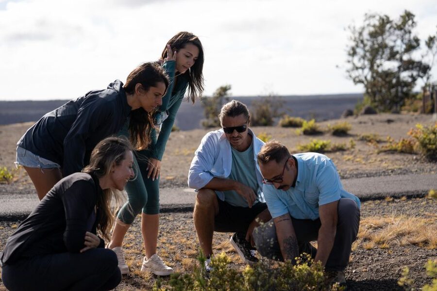 Big Island: Coffee, Black Sand, Volcano and Waterfall Tour - The guide can make or break an 11-hour day