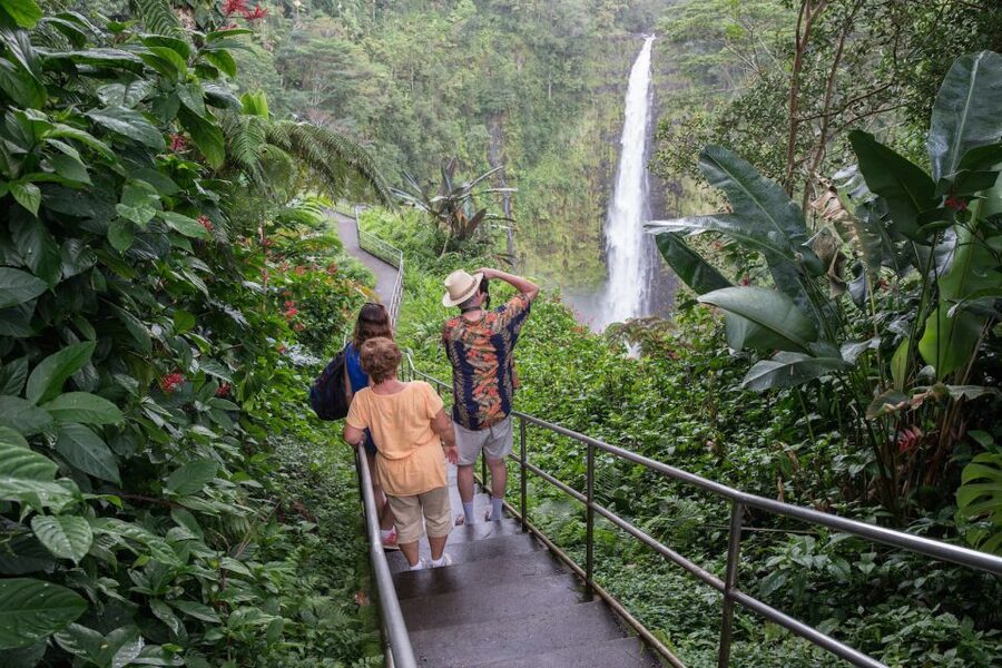 Big Island: Volcanoes, Waterfalls, & Coffee Farm Day-Trip - Punalu’u Black Sand Beach and green sea turtles