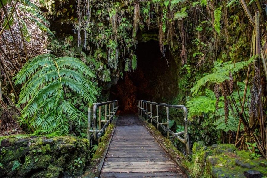 Big Island: Volcanoes, Waterfalls, & Coffee Farm Day-Trip - The southern drive and the long ride home