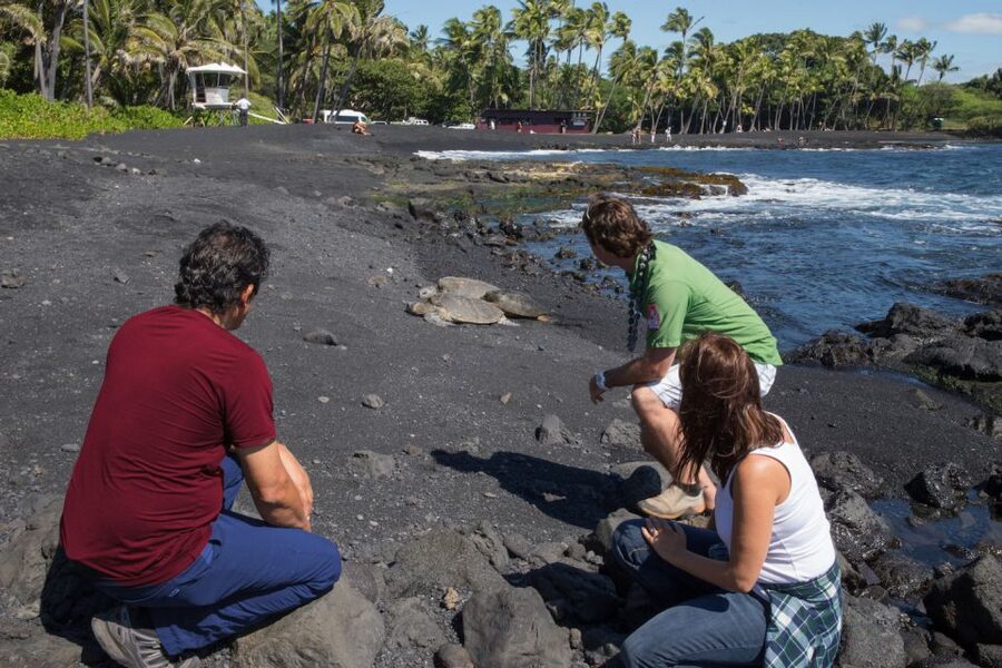 Big Island: Volcanoes, Waterfalls, & Coffee Farm Day-Trip - Starting in Kona coffee country