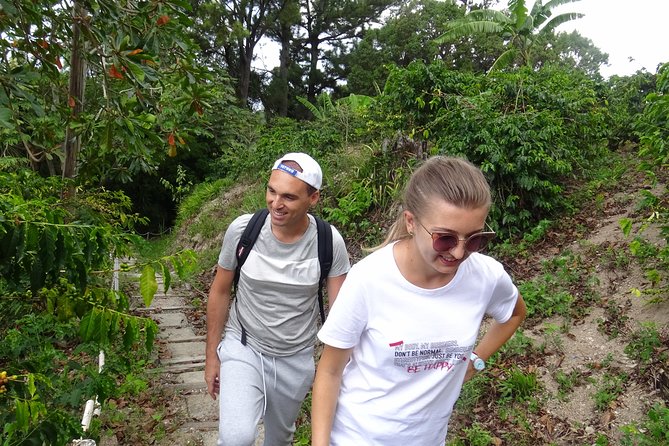 Blue Mountain Coffee and Sightseeing Tour - A Jamaican lunch with an important question to ask