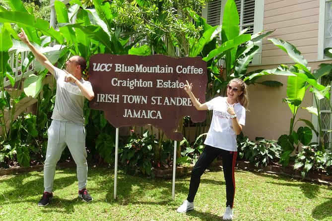 Blue Mountain Coffee and Sightseeing Tour - Coffee tasting and what the price includes