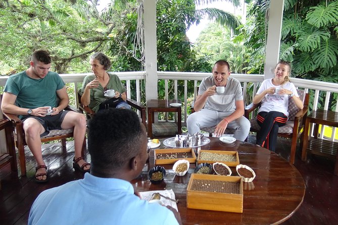 Blue Mountain Coffee and Sightseeing Tour - Four hours among coffee farms, plants, and a waterfall