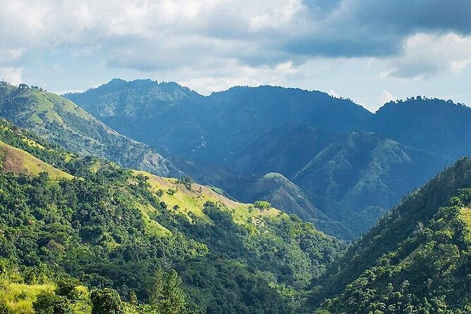 Blue Mountain Coffee, Bob Marley and Art Tour from Montego Bay - Strawberry Hill and the Blue Mountain views
