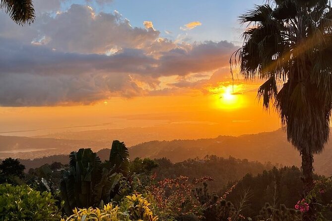 Blue Mountain Coffee, Bob Marley and Art Tour from Montego Bay - Comfort, weather, and the road ahead