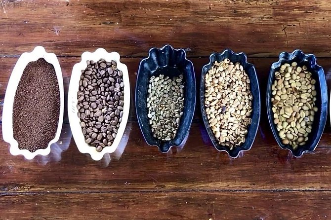 Blue Mountains Coffee Private Tour from Kingston - Key points to know before you book
