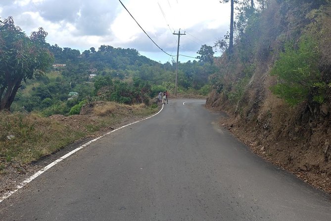 Blue Mountains Coffee Private Tour from Kingston - Who will enjoy this coffee outing most