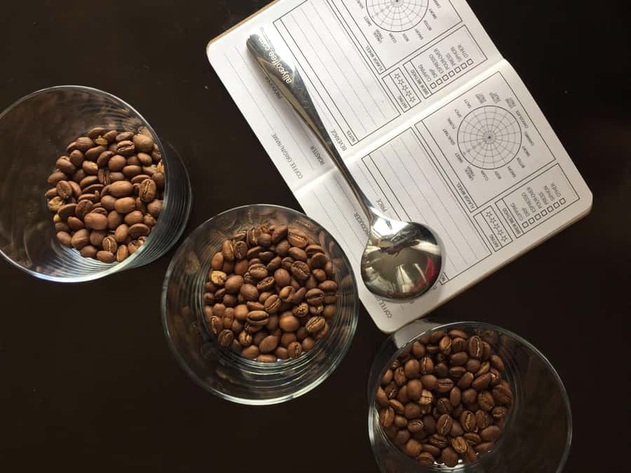 Bogotá: Experience of a coffee competition - Key points before you book