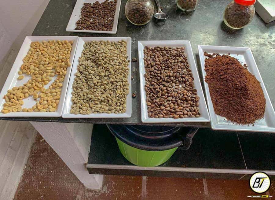 Bogotá: Guided Coffee Tour with Lunch, and Pickup & Drop-Off - Pulping, Drying, and Roasting