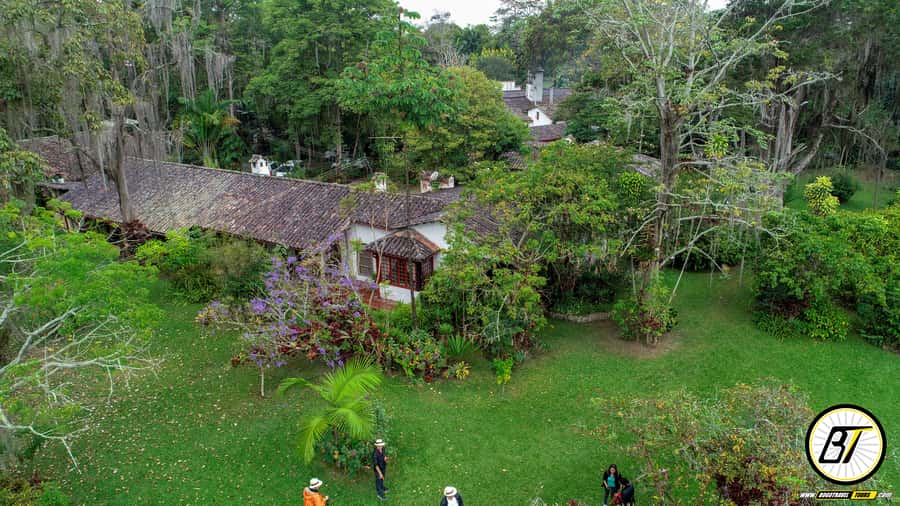 Bogotá: Guided Coffee Tour with Lunch, and Pickup & Drop-Off - Reading the Coffee Plant