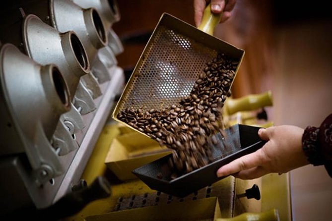 Britt Coffee Tour from San José - Coffee begins with a seedling, not a souvenir bag