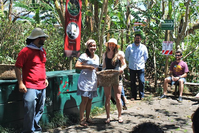 Britt Coffee Tour from San José - Who will enjoy this coffee tour most
