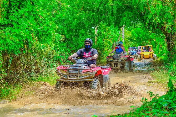 Buggy Ride Into the jungle with cave coffee & chocolate tasting - Macao Beach is the most rewarding stop