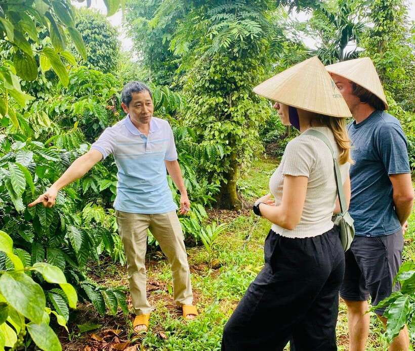 Buon Ma Thuot: Bean to Brew Coffee Farm Tour with Tasting - A short trip into Buon Ma Thuot’s coffee country