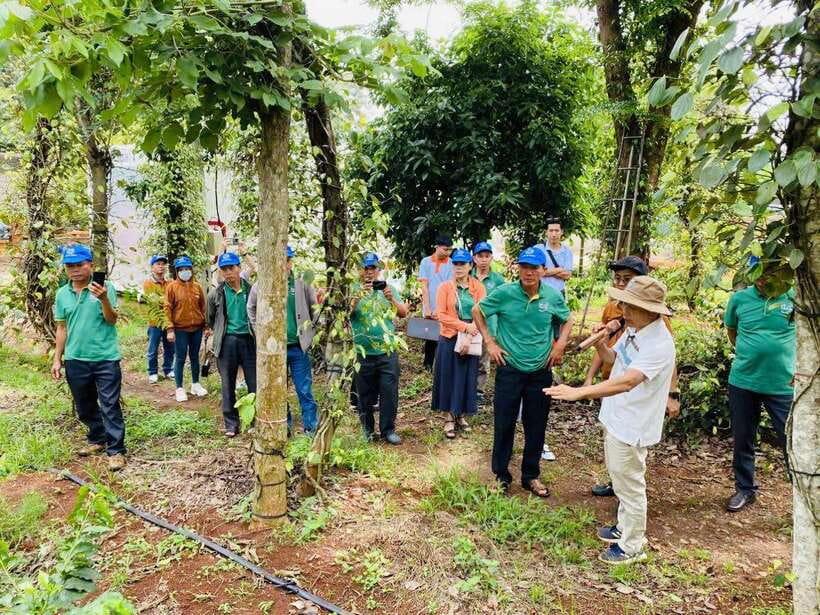 Buon Ma Thuot: Bean to Brew Coffee Farm Tour with Tasting - Finishing with a black or milk coffee