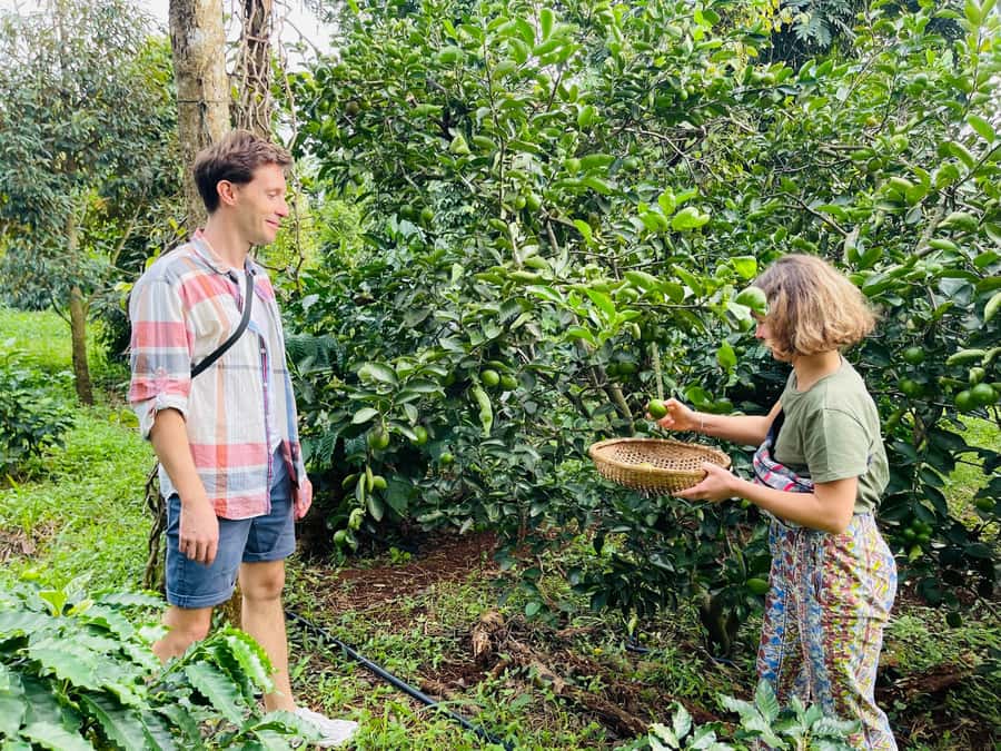 Buon Ma Thuot: Coffee Farm Tour (Bean to Brew) with Pickup - Pickup from Buon Ma Thuot center
